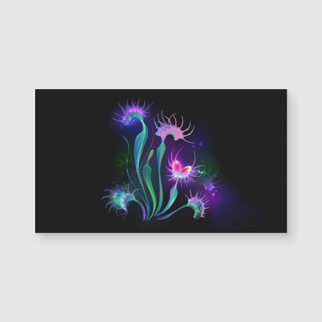 Armando Venus Flytrap (Frente)