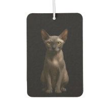 Aromatizadores de Ar para Carro Black 4 Luxe, Gato