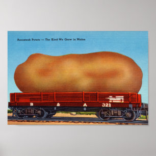 Aroostook Potato Vintage Impressão