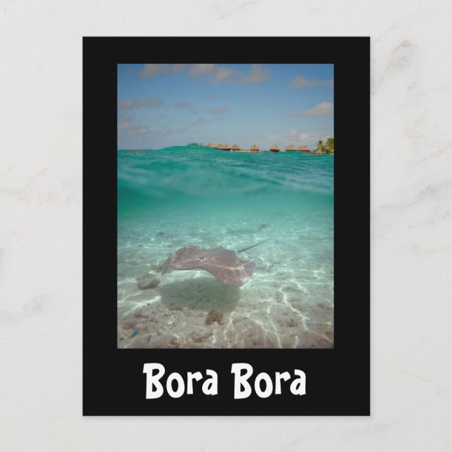 Arraia debaixo d'água em cartão preto de Bora Bora (Frente)