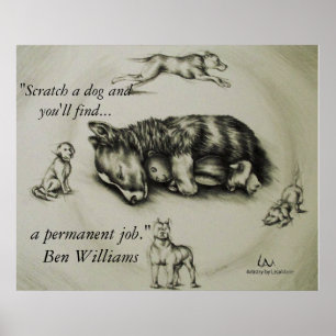 Arrancar um Cachorro - Cachorro Dormindo Poster