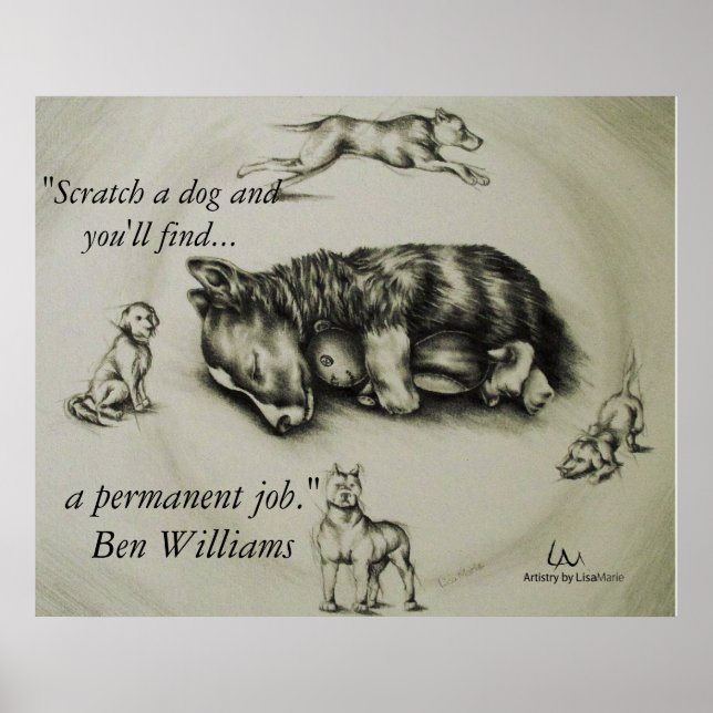 Arrancar um Cachorro - Cachorro Dormindo Poster (Frente)