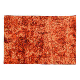 Arranhões em arranhões num coral ligeiramente vist