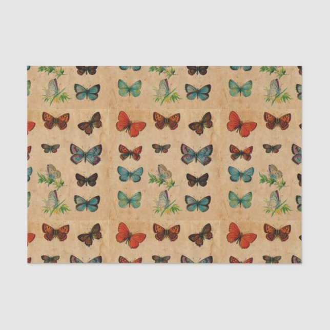 Arranjo de Desacoplamento de Papel Armazenado pela (Frente )