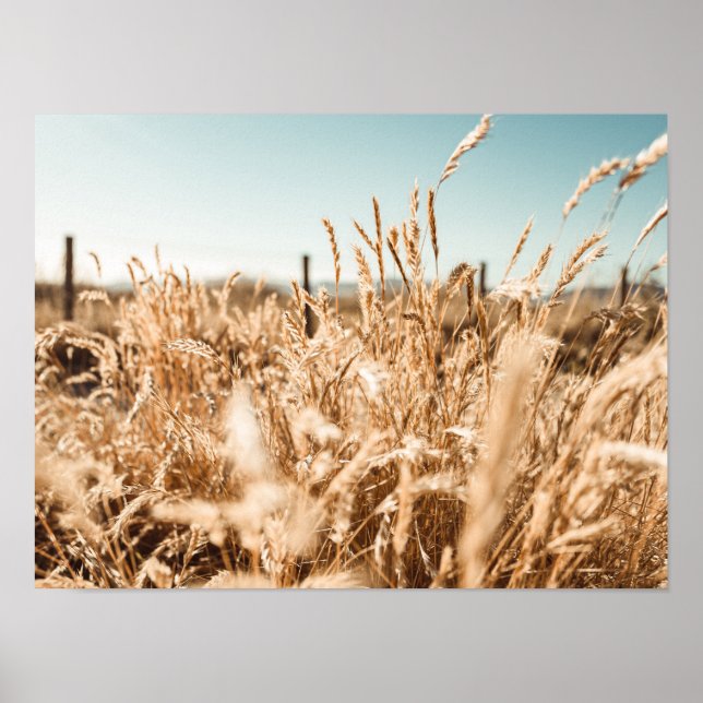 Art & Wall Décor > Posters e Impressões (Frente)