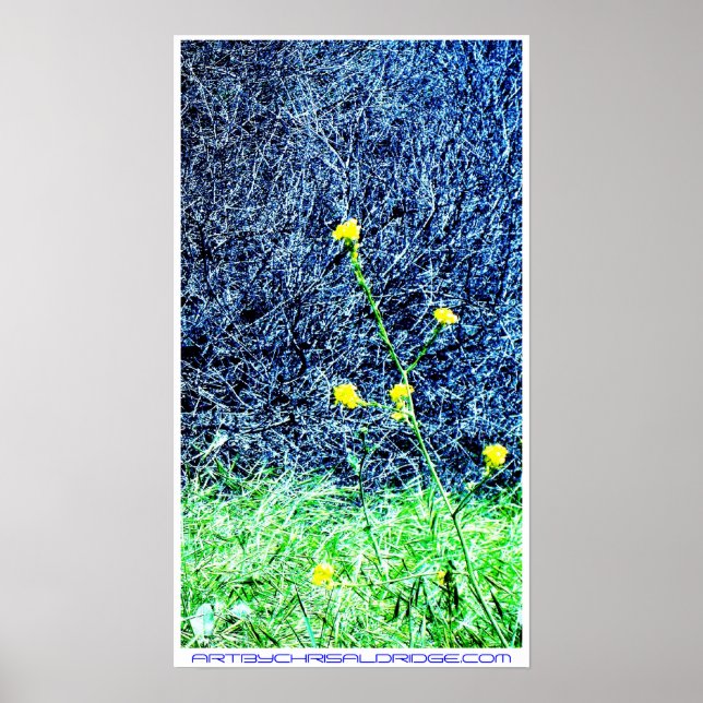 ARTBYCHRISALDRIDGE.COM poster nº 2 (Frente)