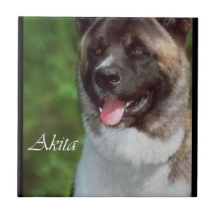 Arte Akita
