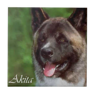 Arte Akita