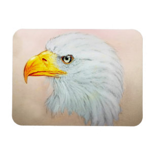 Arte animal branca & amarela, ímã da foto - Eagl