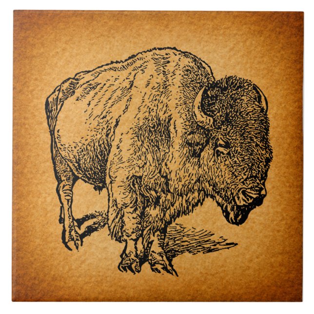 Arte Antica Russa do Bisonte do Bison Ocidental (Frente)