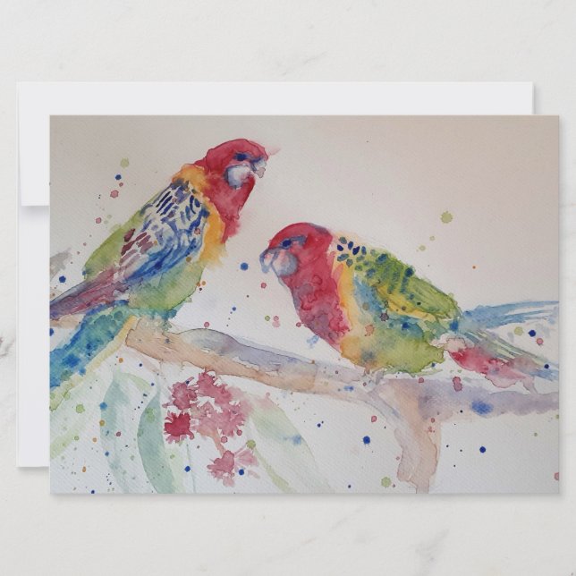 Arte Aquarela de Papagaio Rosella Vermelho Fofo (Frente)