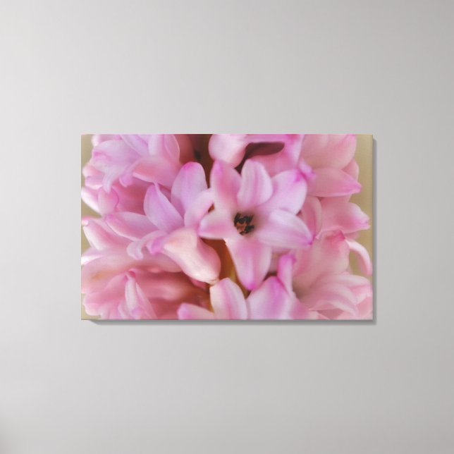 Arte bonito de Canvas de Primavera de Hyacinina ro (Frente)