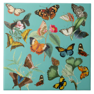 Arte Borboleta Vintage, muitos tipos e cores