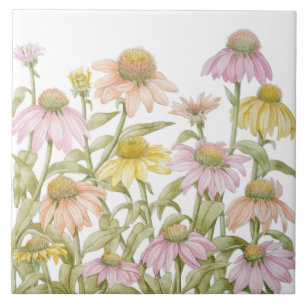 Arte Botânica Aquarela de Coneflowers