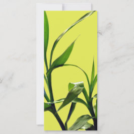 arte botânica bambu sortudo folhas verdes marcador
