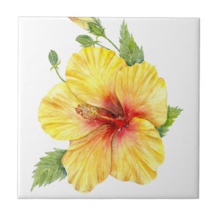 Arte Botânica Yellow Hibiscus