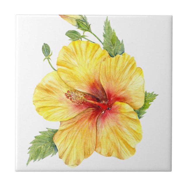 Arte Botânica Yellow Hibiscus (Frente)