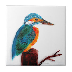 Arte Colorida de Pássaros Kingfisher