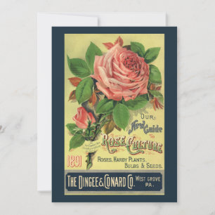 Arte da capa do livro Vintage Guide to Rose Cultur