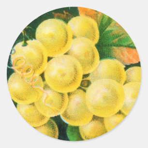 Arte da etiqueta da caixa da fruta do vintage,