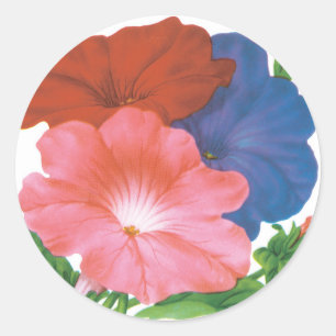 Arte da etiqueta do pacote da semente do vintage,