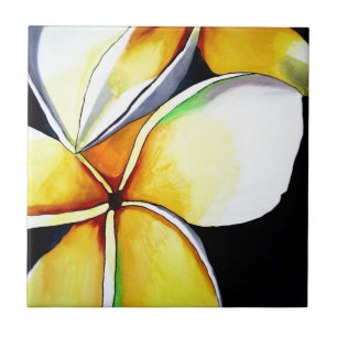 Arte da flor do Frangipani