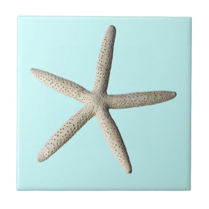 Arte da foto da praia da estrela do mar
