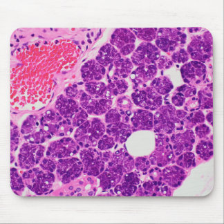 Arte da histologia - Mousepad