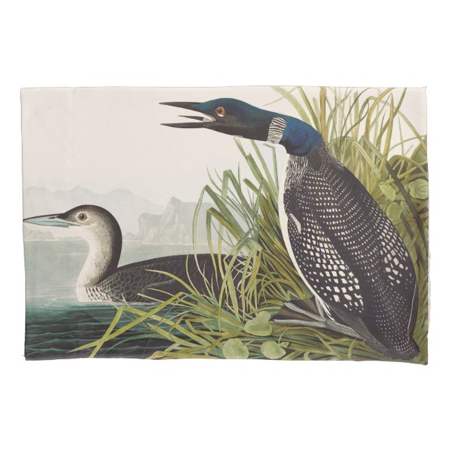 Arte da Natureza com Ave Mergulhão-do-commons Vint (Frente)
