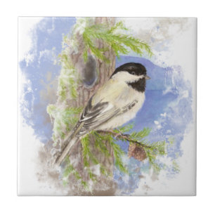 Arte da natureza do pássaro do Chickadee da