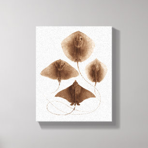 Arte da parede das canvas da arraia-lixa #2