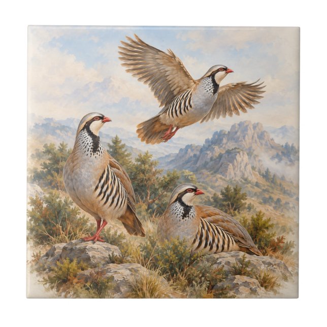 Arte da Perdiz Chukar (Frente)
