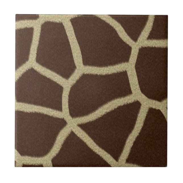 Arte da vida selvagem (Frente)