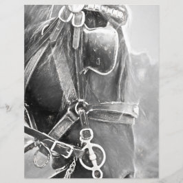 Arte Da Vintagem Branca E Negra Russa Ocidental