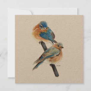 Arte de Aquarela do Casal Bluebird