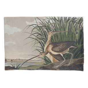 Arte de Ave Vintage Audubon Maçarico-de-bico-compr