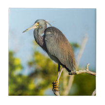 Arte de Azulejo cerâmica perfeita para aves