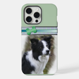 Arte de Cachorro de Collie de Fronteira Moderna