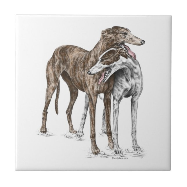 Arte de Cachorro de Dois Amigos Greyhound (Frente)