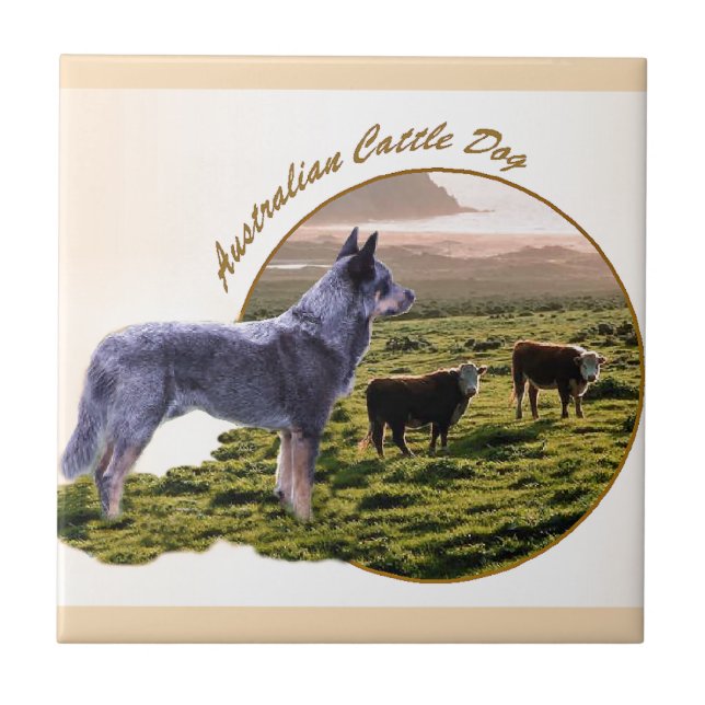 Arte de Cães Australiana (Frente)