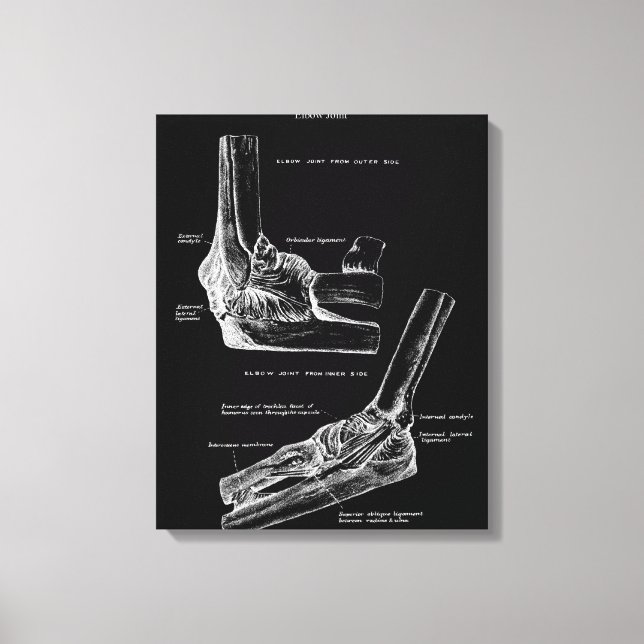 Arte de Canvas da Anatomia Articular do Cotovelo (Frente)