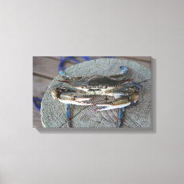 Arte de Canvas da Baía de Chesapeake Blue Crab