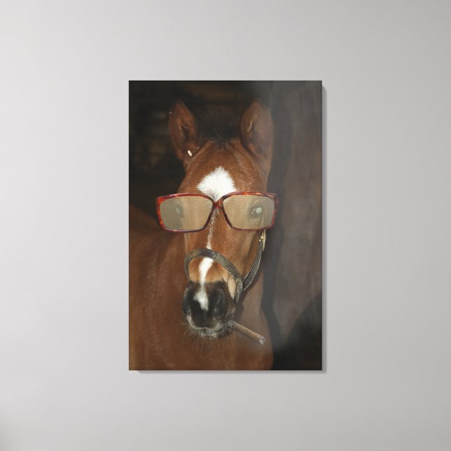 Arte de Canvas de Charutos de Cavalo Humorísticos (Frente)