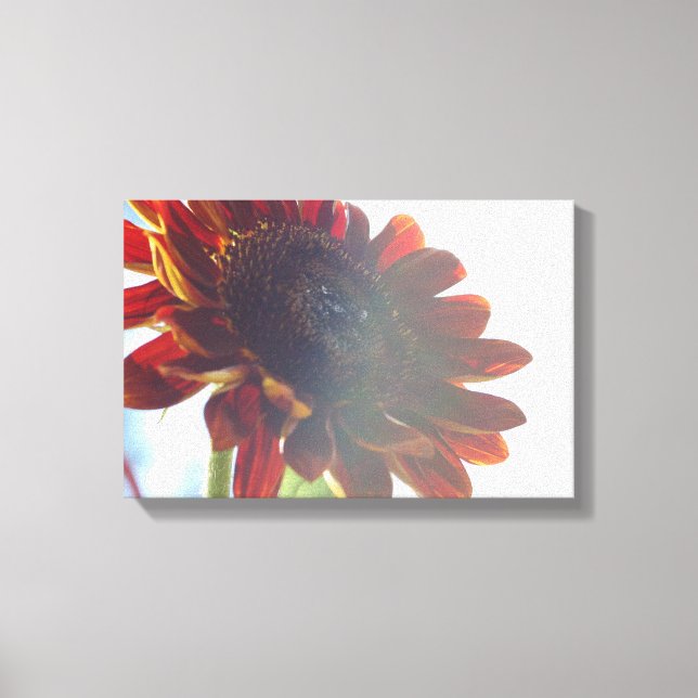 Arte de Canvas de Girassol Vermelho (Frente)