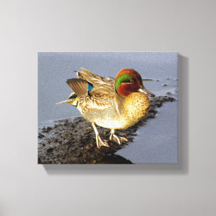 Arte de Canvas de Pato Verde