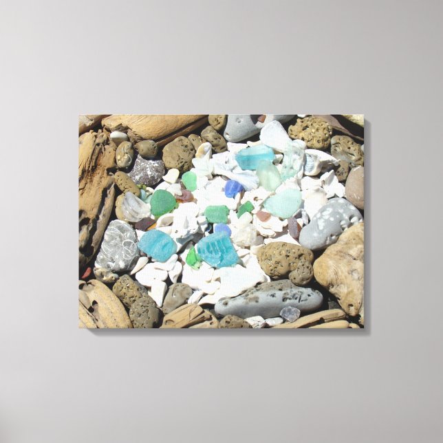 Arte de Canvas do Jardim Driftwood Rock Seashells  (Frente)