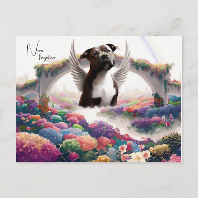 Arte de Cartão Postal de Sympathia do Arco-íris (Frente)