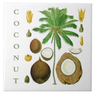 Arte de Cozinha Vintage: Flor e Árvore de Coco