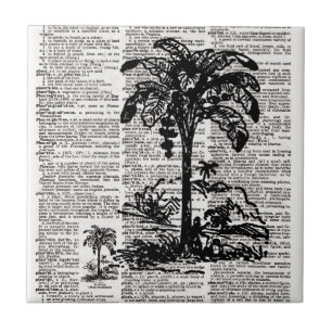 Arte de Dicionário de Árvore Palm