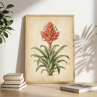 Arte de Flor de Bromélia Boho - Impressão em Tela